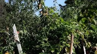 DSC 0361