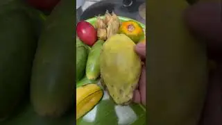 Exotic Fruit’s Tasting !! #abhiscafe #exoticfruitplants