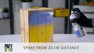 NEW Pintyplus Chalk Finish Spray Paint
