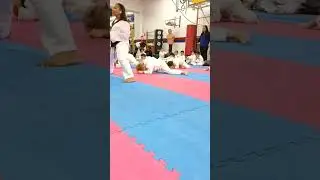Лео, отчет по Тайквондо 1