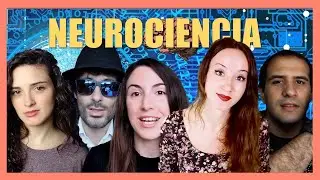Top 5 MEJORES canales de NEUROCIENCIA 🏆