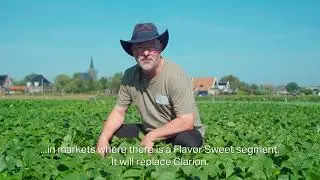 PV957 - Beans | Product Demo Video (EN)