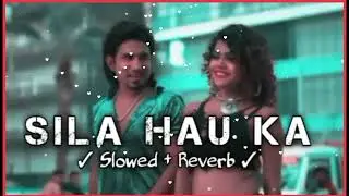 Sila Hau Ka || Slowed + Reverb Lofi Mix Songs || Mani Meraj Bhojpuri Lofi Songs Mix || Lofi Song