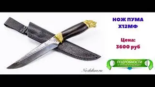 Ножи Кизляр Коршун 3