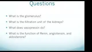 HESI A2 Exam: Genitourinary System
