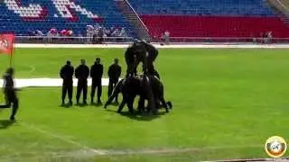 Показательные выступления 25 ого отряда специального назначения «Меркурий»