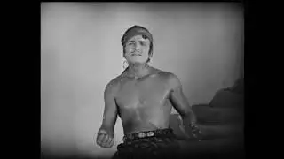 The thief of Bagdad (1924)