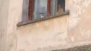 наблюдатель с детства