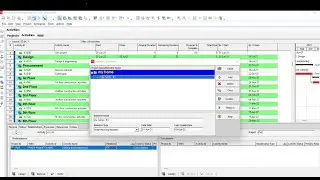 How to create and assign baseline in P6