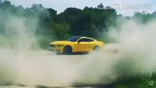 Клип "Паша пэл"!