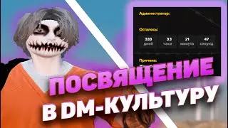 Проходим посвящение в  DM-культуру | #majestic