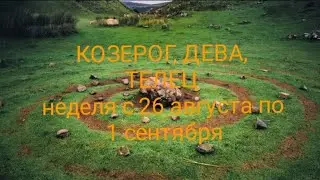 СТИХИЯ ЗЕМЛИ (Козерог, Дева, Телец) на неделю с 26 августа по 1 сентября 2024 года