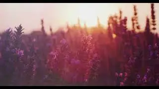 Igor Sychev  - At Dawn (Cinematic Piano)