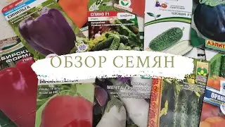 Обзор семян 2021. Огурчики, сладкий перец, баклажаны.