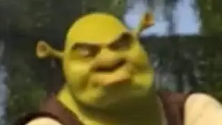 Shrek knows what you’re thinking..