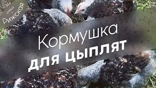 Кормушка для цыплят 🐥 простая и удобная!