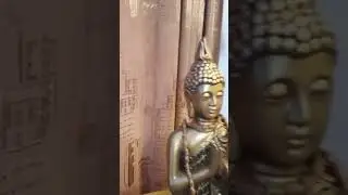 25 ноября 2023 г.