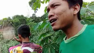 MAEN MAEN DI HUTAN