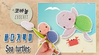 바다거북이  Sea  turtles