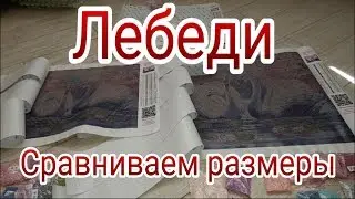 ЛЕБЕДИ. Сравниваем размеры. Так какой выбрать : 30 на 40 или 40 на 50 ?
