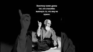 Сила духа #высказывание #цитата #умное #веселое #смешное #интересное
