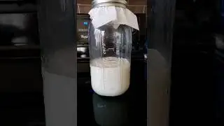 I feed my starter so it can feed me!    