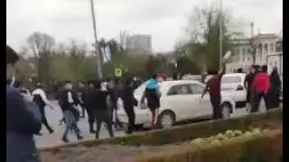 Toshkent Amur Temur hiyobini 2 geylar qulga tushdi