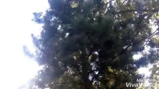 Tomas extra ruta Danubio en bici 2016