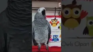 спою: травечик- козел!..