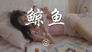 陳白 - 鯨魚（翻自 阿冗）『你給的愛到底是什麼形狀』【動態歌詞Lyrics】