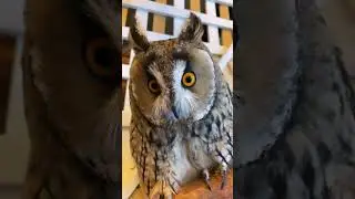 Сама напугаюсь и кого хош напугаю 😂 