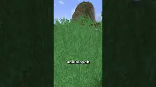 Ten mod powinien być w Minecraft - Biomes O' Plenty #shorts #minecraft #gameplay #gaming #mods