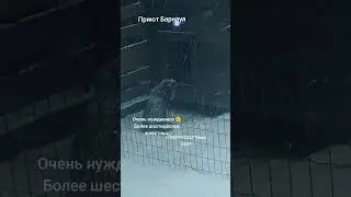 #спасение