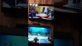 РОМА Букин  ПРИТВОРИЛСЯ ДЕДОМ И ОБМАНУЛ ВОЕНКОМА ИЗ СЕРИАЛА СЧАСТЛИВЫ ВМЕСТЕ 😂😂😂