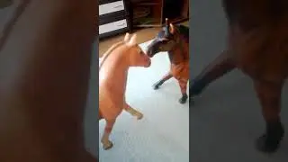 А гонь часьть4