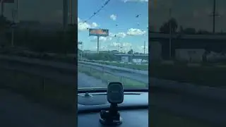 Когда все птицы ждут только меня )