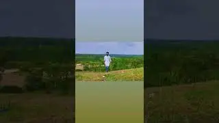 Natural environment 