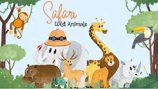 Wildlife animals video | Education video for kids | animal learning video | Toddler video for kids