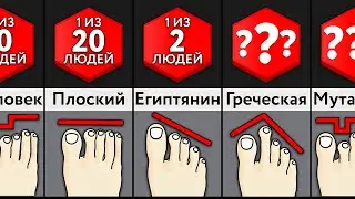 Сравнение: Виды Ног