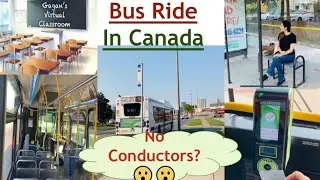 Bus ride in Canada|Fare and facilities in the public transport