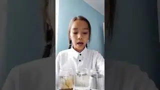 15 сентября 2022 г.