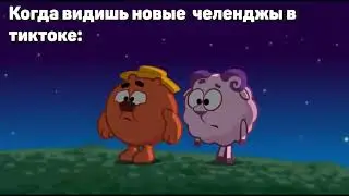 МУД СМЕШАРИКИ #19| КРОШБАРАШИДЗЕ
