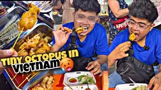 I found tiny octopuses in Vietnam 🇻🇳🤯|Kanda Lovers|