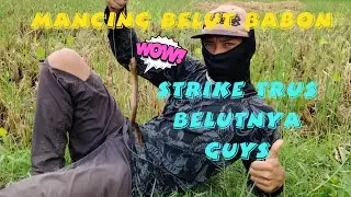 mancing belut isinya babon guys || satu umpan satu belut santap trus