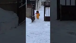 Чистит двор соседям)
