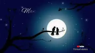 Manase o manase song #whatsappstatus #kannadasong #oldsongwhatsappstatus #viral #virtualsisters
