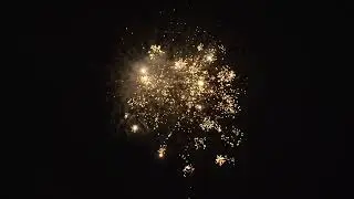 20230103505
