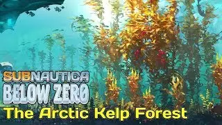 Arctic Kelp Forest | Subnautica Below Zero News
