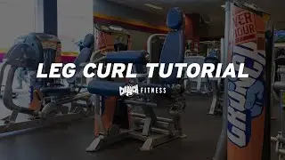 Leg Curl Tutorial