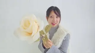 [EN/日本🗾] Our Photo Studio is pre-opening! 2/22 フォトスタジオ White Butter,で凸待ち企画やります！ - Feb 13th, 2025